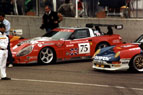 Here you see the Agusta Callaway Corvette 75 of Donovan, O'Brien and 'Rocky' Agusta.  The car was qualified in 40th place on the grid.