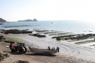 The Cancale oyster-beds
