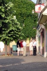 Jeff, Will, Martyn, Clive and Ian - out for a morning constitutional in the sunshine of Le Grand Luc