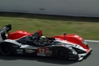 Signature Plus Courage Oreca #12 - Pierre Ragues