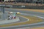 And here they come for the first time.  Corvette leads Rebellion.....